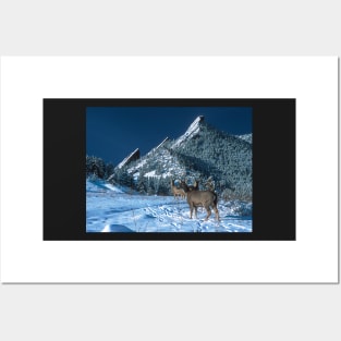 The Flatirons And Deer Posters and Art